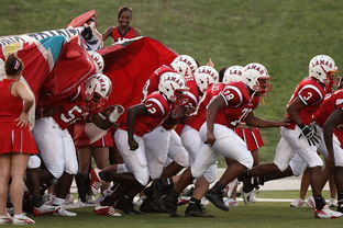 开云体育地址-威少强势复出奇才球队重返前八，威少奇才首秀