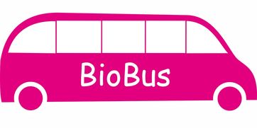 开云体育官方网站-意甲联赛的绿色可持续发展，意甲联赛啥意思