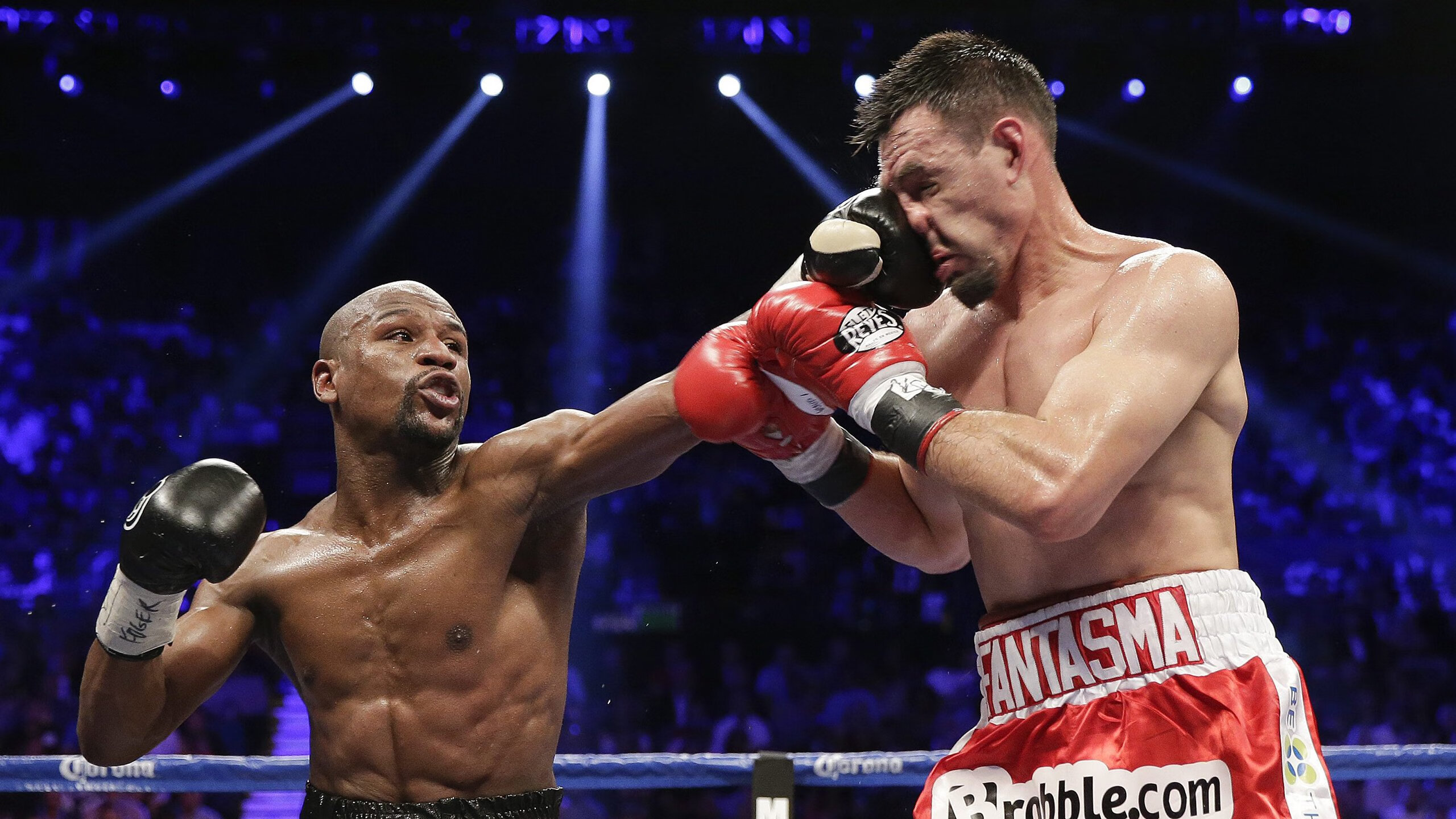 开云官网体育-美洲杯运动员的科学训练内容，美洲杯运动员的科学训练内容是什么